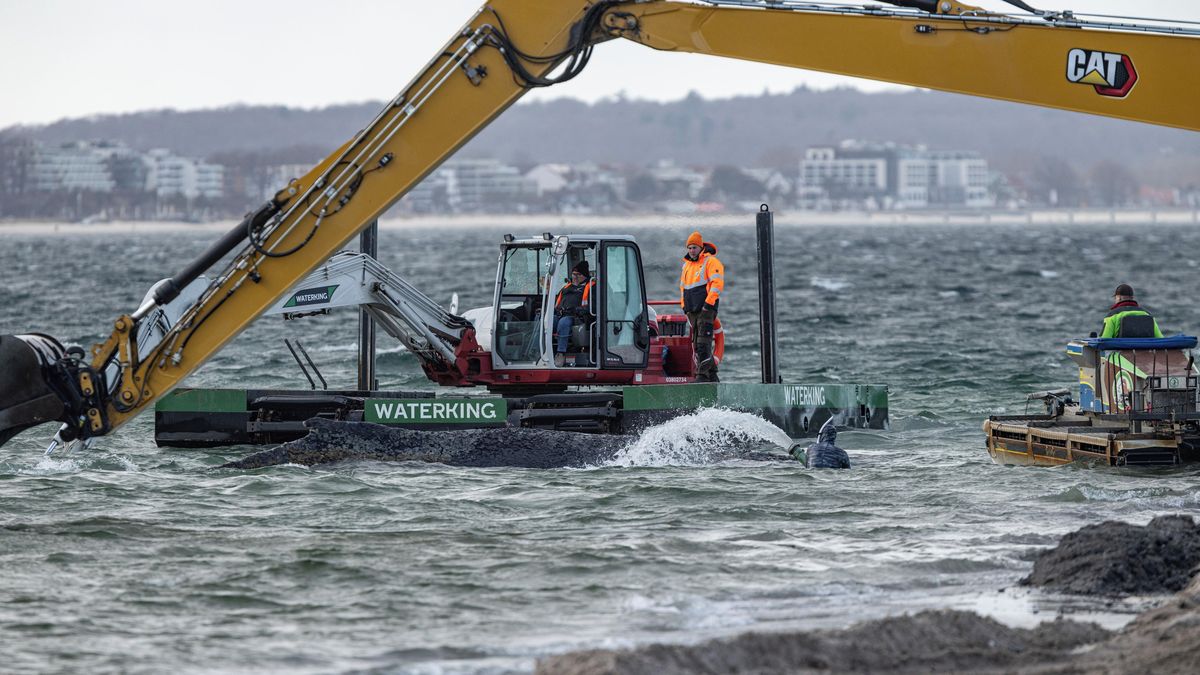 FOTO: Obří záchranná akce, v Německu vyprošťovali uvízlého keporkaka